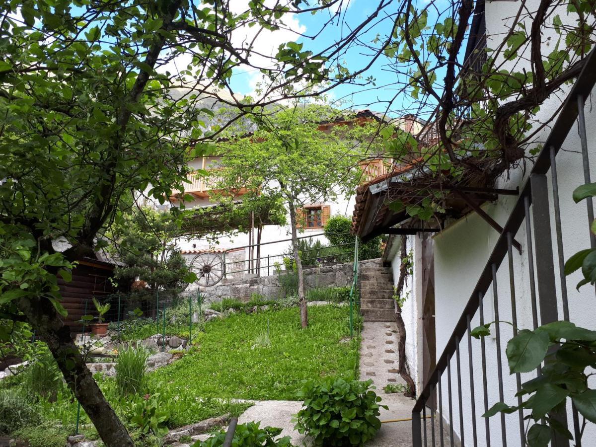 Apartma Nadiza Borjana107 Екстер'єр фото